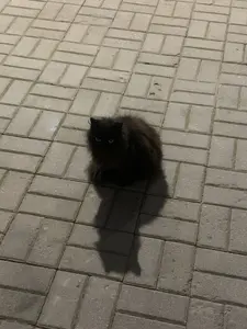 Понравившееся фото